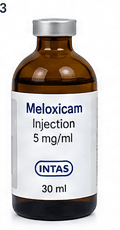 Meloxicam Injection